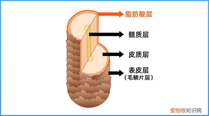 洗头膏什么牌子好用？最全真人评测分享,