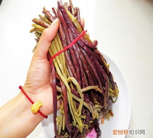 蕨菜泡了两天还能吃吗，厥菜怎样做干厥菜怎样泡发怎样做才能好吃