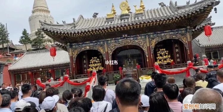 五爷庙的五爷是谁，谁知道猫五爷庙供奉的猫五爷的来历