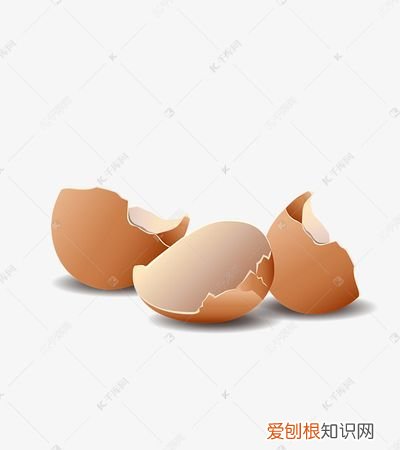 鸡蛋壳属于什么垃圾，哪些厨余垃圾可作为磷肥