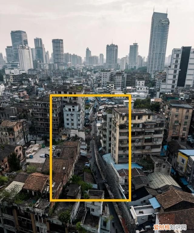 ios14相机有什么新功能,苹果iphone14 max 首曝颜值有点高