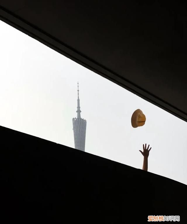 ios14相机有什么新功能,苹果iphone14 max 首曝颜值有点高