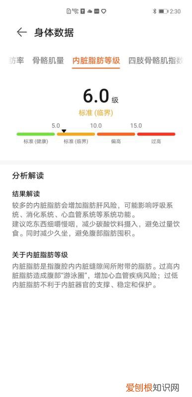 华为智能体脂秤 3 Pro 测评