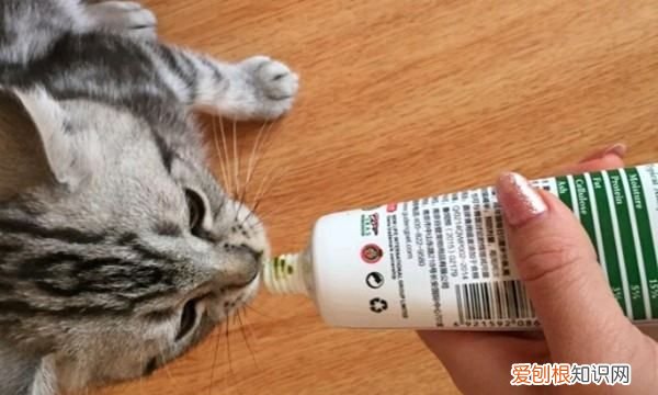 猫化毛膏吃多了怎么办，猫咪化毛膏吃多了怎么办?