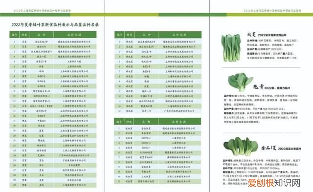 绿叶菜都有哪些呢 各种绿叶菜可以一起炒吗