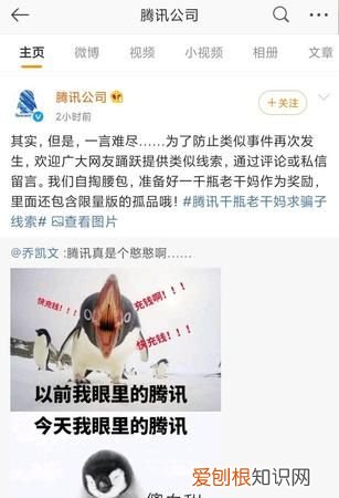 鹅厂是哪个公司，鹅厂是哪个公司 腾讯为什么叫鹅厂