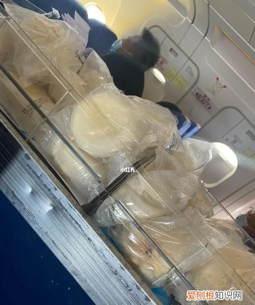 熟的包子可以带上飞机吗，全麦面包可以上出国飞机