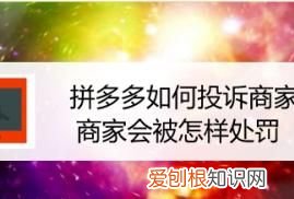 拼多多投诉商家怎么弄?，拼多多如何投诉商家商家会被怎样处罚