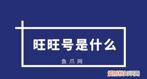 旺旺号是什么，想知道淘宝旺旺号是什么地方的怎么看