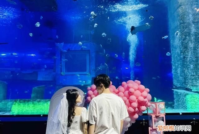 七夕求婚海洋馆 海底求婚再现广州正佳海洋馆