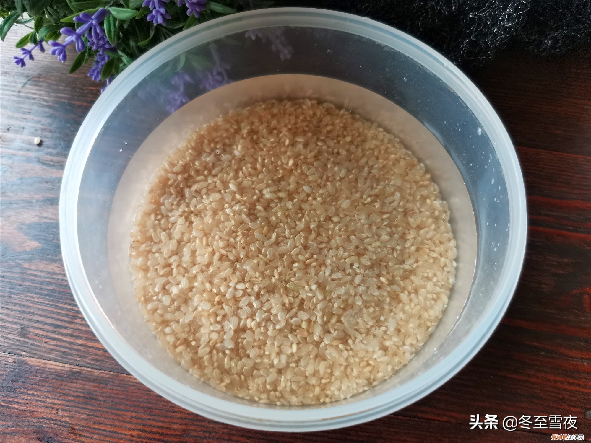 糙米怎么做最好吃营养