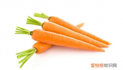 胡萝卜叶子能吃吗，胡萝卜叶子可以做干菜