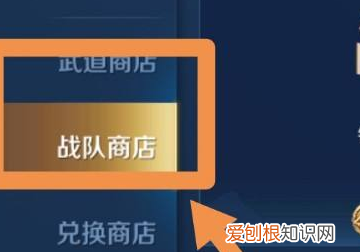 王者荣耀在战队怎么捐献资金，王者荣耀战队怎么捐献战队币升级