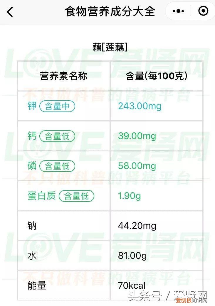 蛋白质含量低的食物有哪些