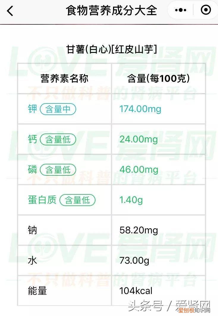 蛋白质含量低的食物有哪些