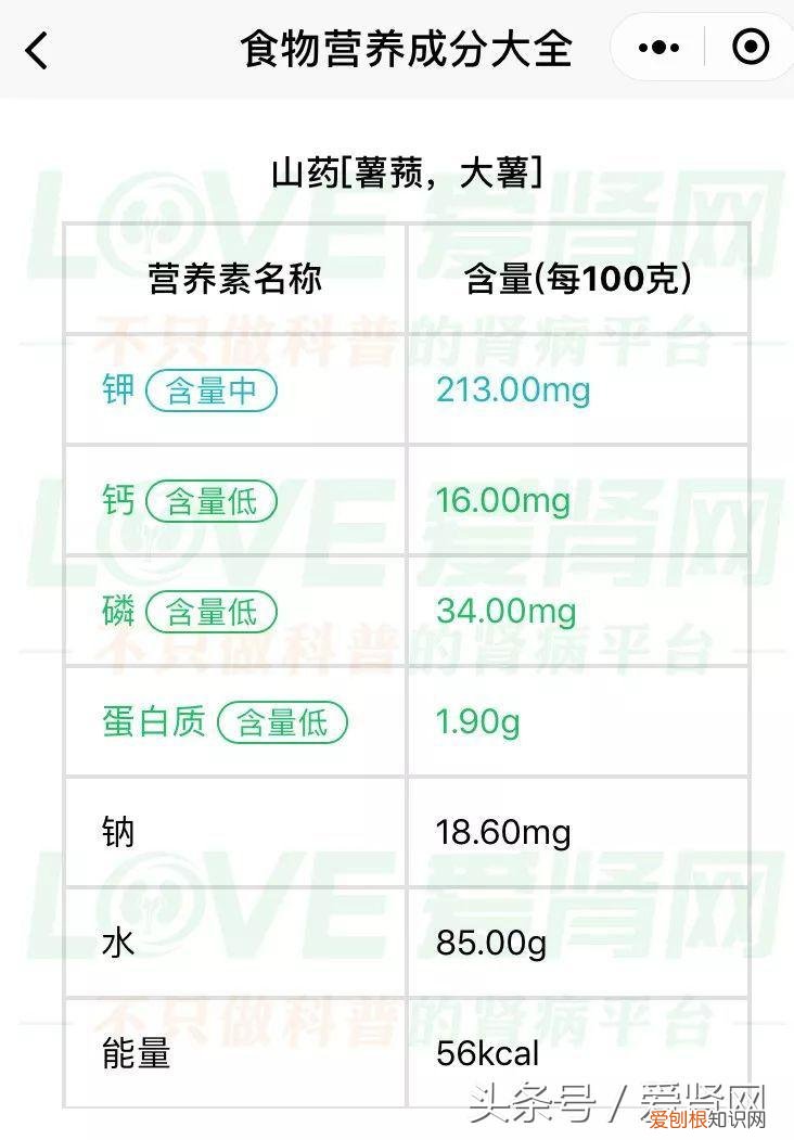 蛋白质含量低的食物有哪些