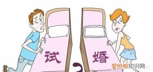 试婚是什么意思