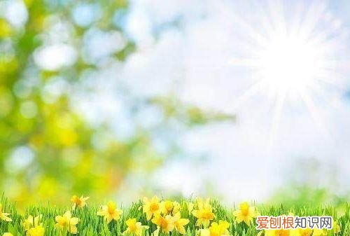 春暖花开的简短句子，云开雾散春暖花开的句子