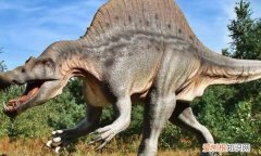 spinosaurus是什么恐龙，背上有鳍的是什么恐龙