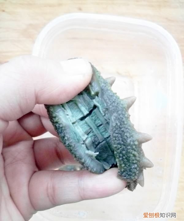 海参炖鸡的做法，海参可以炖鸡吃吗