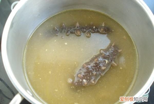 海参炖鸡的做法，海参可以炖鸡吃吗