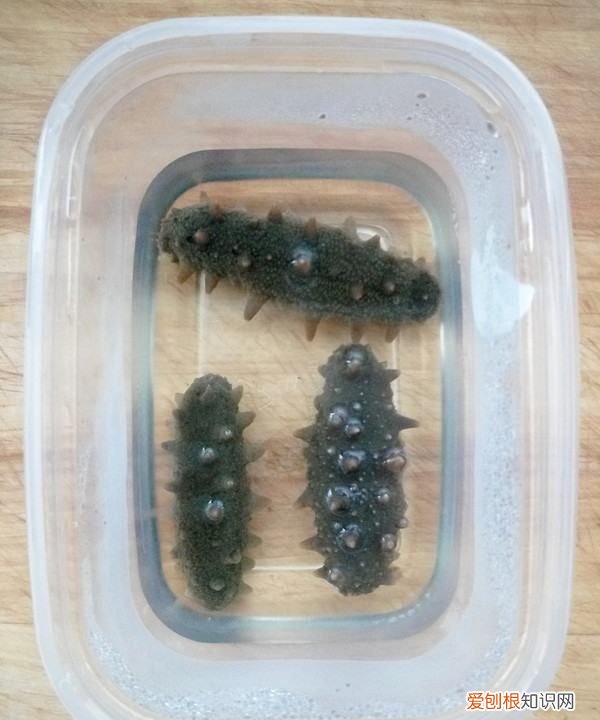 海参炖鸡的做法，海参可以炖鸡吃吗