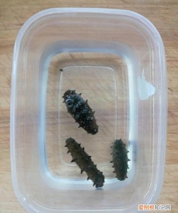 海参炖鸡的做法，海参可以炖鸡吃吗