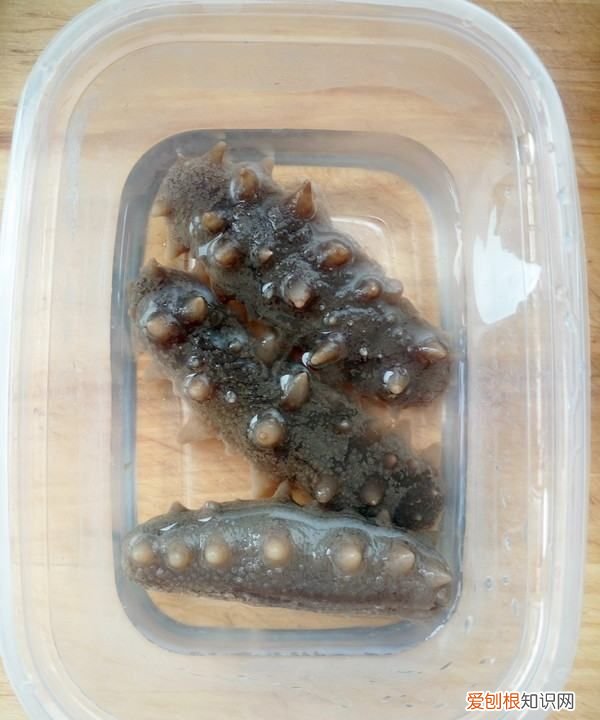 海参炖鸡的做法，海参可以炖鸡吃吗