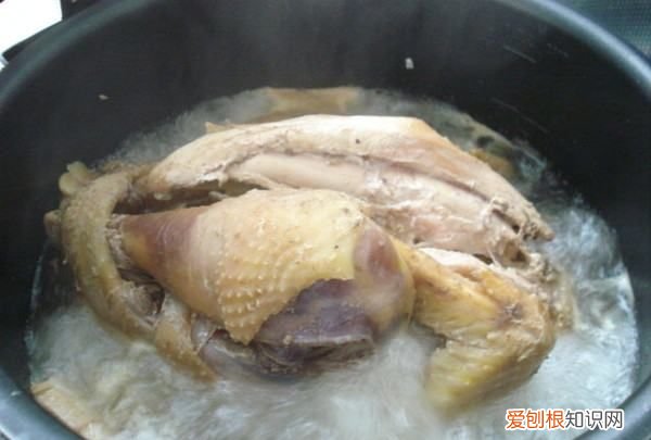 海参炖鸡的做法，海参可以炖鸡吃吗