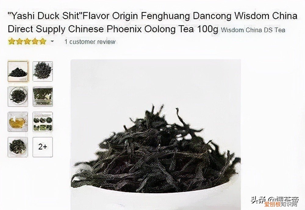 凤凰单丛茶是什么茶系