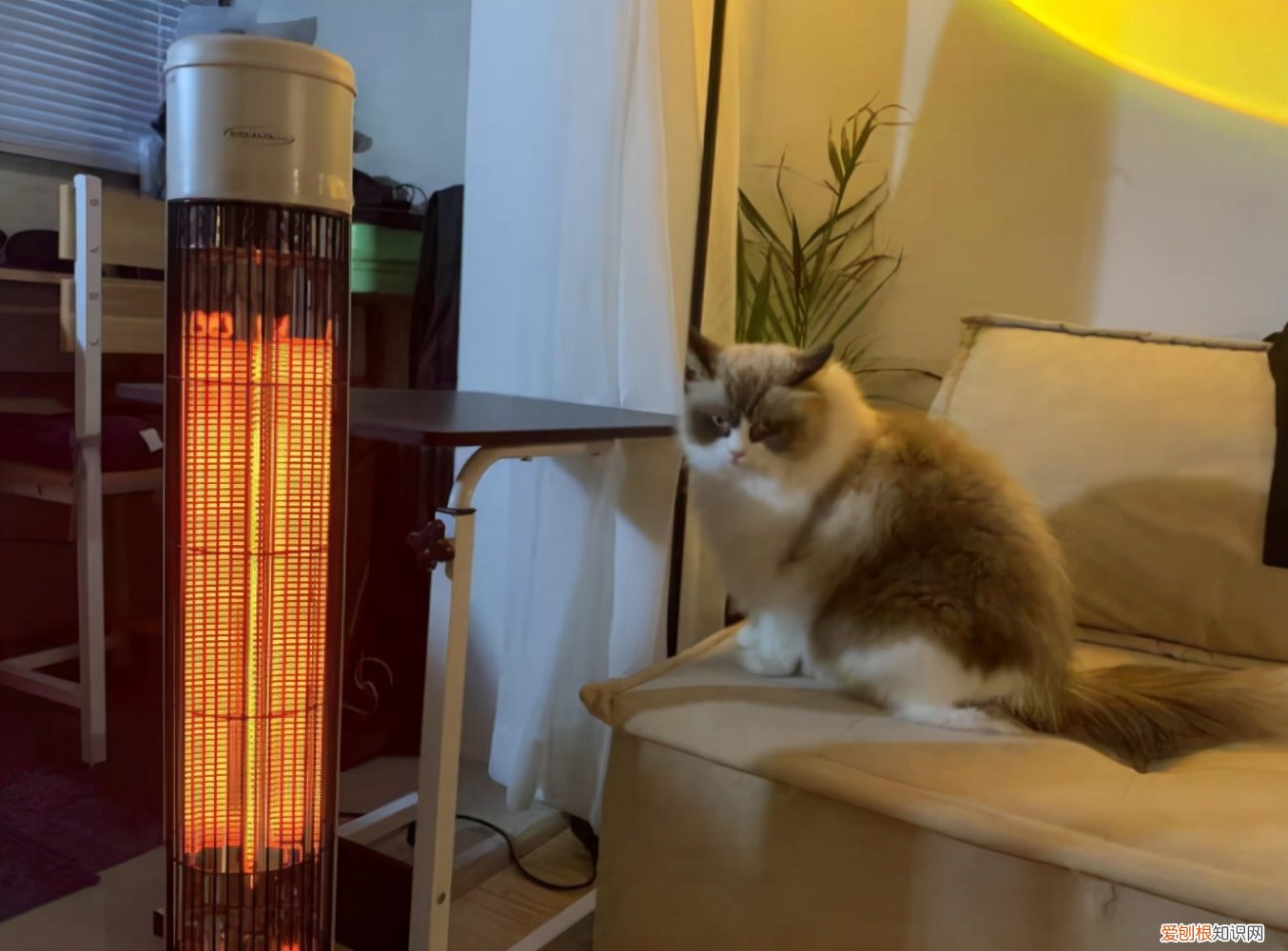 冬季家庭取暖器哪种取暖方式好又省电