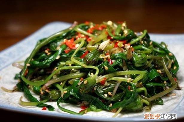 野菜图片大全及名字和功效