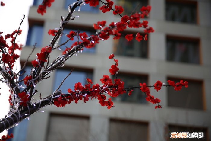 腾龙SP2470G2评测