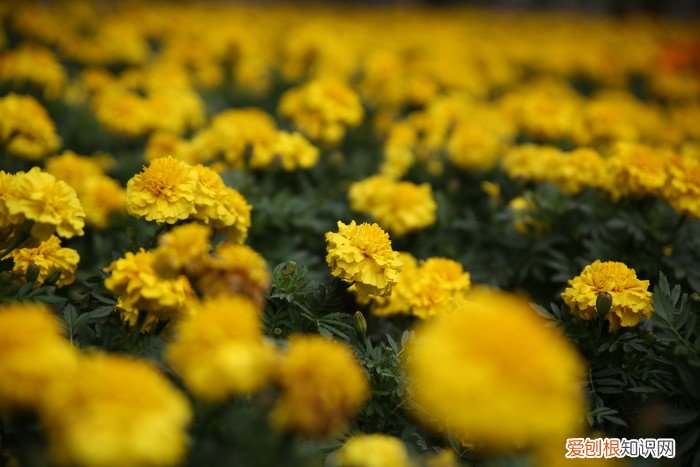 腾龙SP2470G2评测