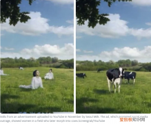 韩牛奶广告将女性描绘成奶牛惹众怒，首尔牛奶公司发声名道歉