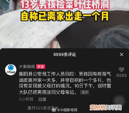 真相来了 警方称捡菜叶住桥洞男孩离家一天多