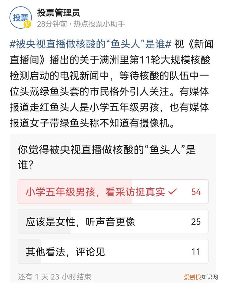 央视新闻里戴绿鱼头套走红男孩发声“网友全是黑我的，说我蹭热度“