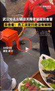 武汉知名火锅店天降老鼠砸到食客，店员淡定扫走老鼠，并无解释。