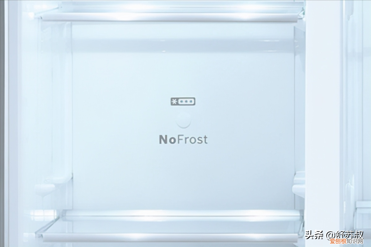 西门子冰箱和博世冰箱哪个更好？区别对比分析
