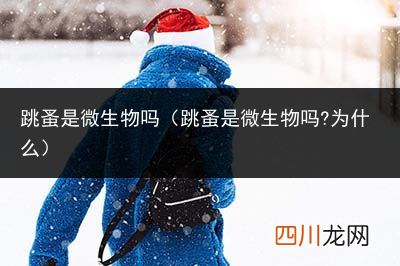 灭跳蚤最有效的方法 跳蚤是微生物吗