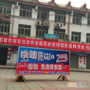 2.5米蜀桧 2016山东蜀桧多少价格？