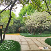 素土夯实套什么清单定额 园林园路素土夯实套什么定额？