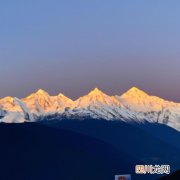 沭阳10公分的美人梅哪里有卖？
