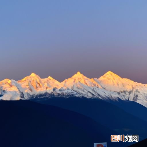 沭阳10公分的美人梅哪里有卖？