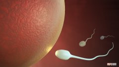 烧烤吃多了小心精子不保 男性备孕期间不要碰这些