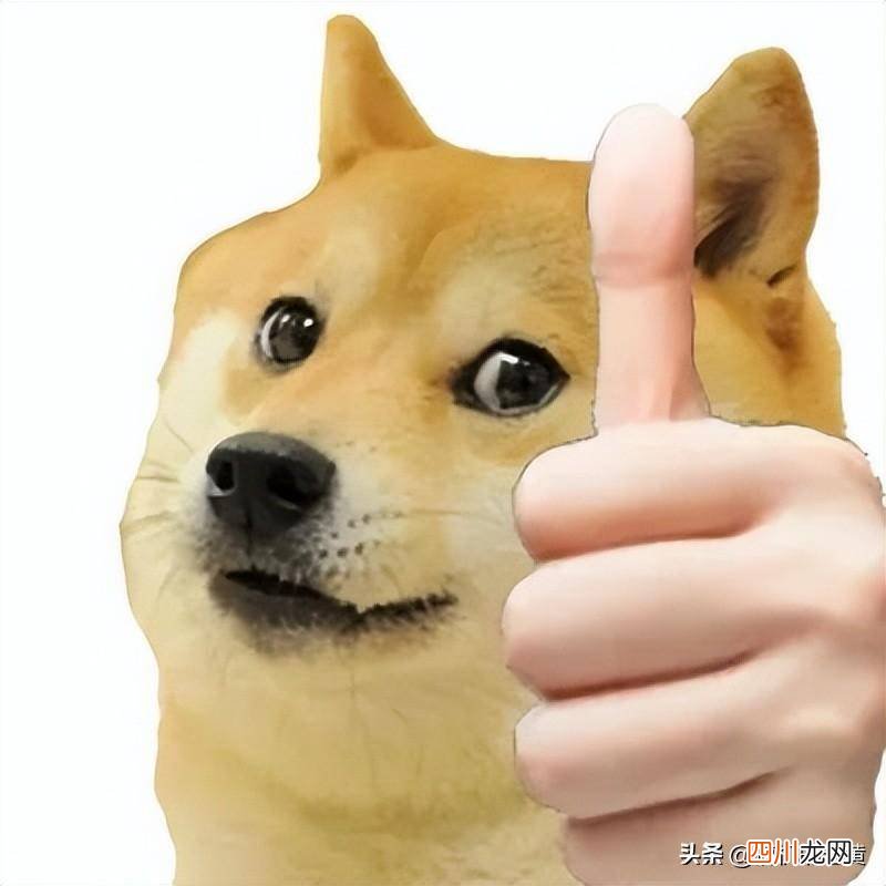 电脑蓝屏死机一键修复 电脑出现蓝屏死机是什么问题