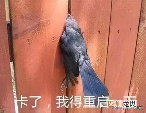 电脑蓝屏死机一键修复 电脑出现蓝屏死机是什么问题