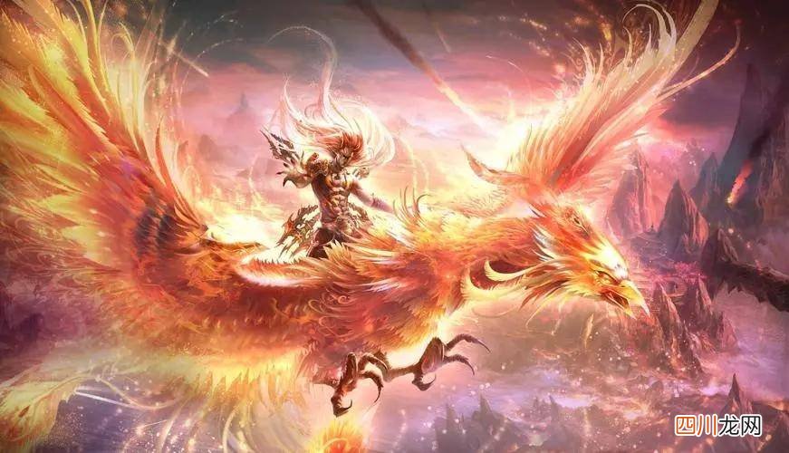 最全的小说网站大全 全免费的小说软件有哪些