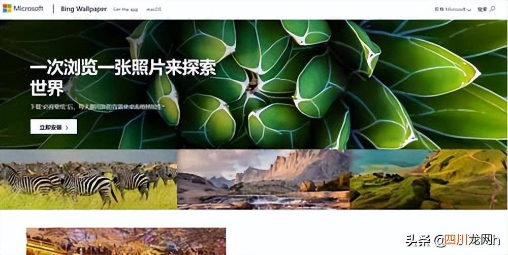 盘点最好的壁纸软件大全 动态桌面壁纸软件推荐
