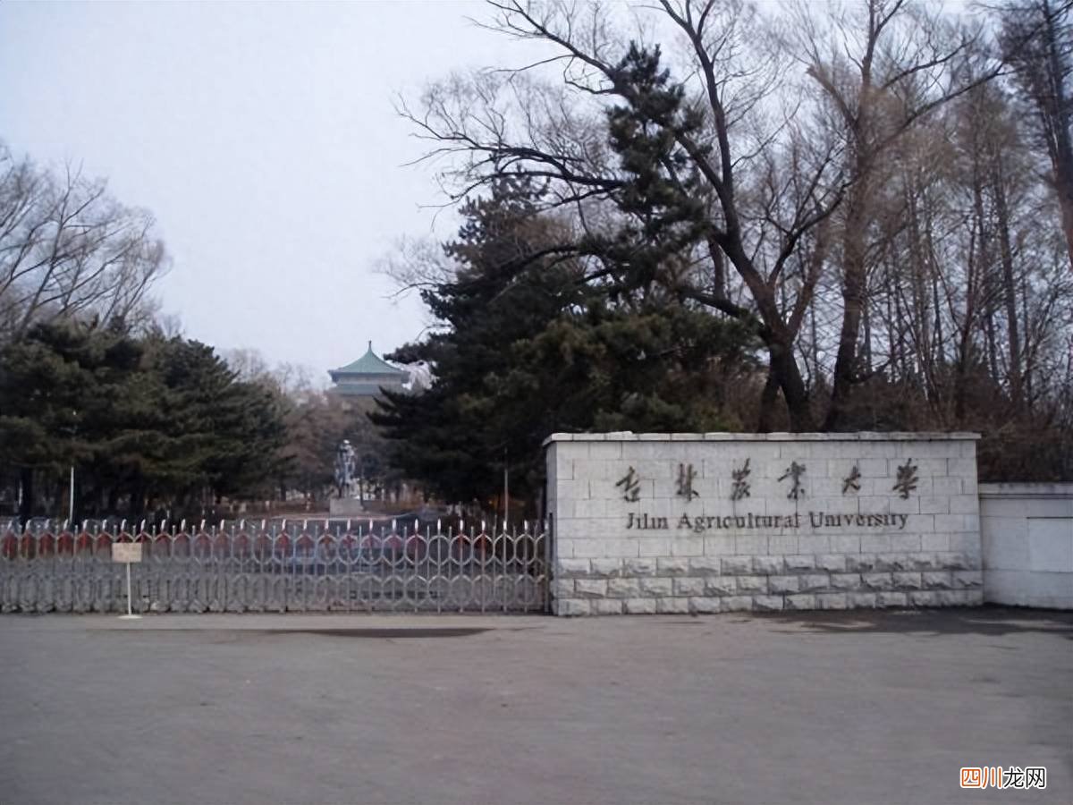 全国大学排名一览表最新名单 长春理工大学排名变化